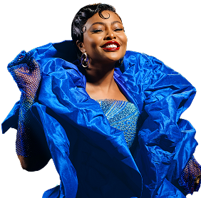 Use your phone number as your account number